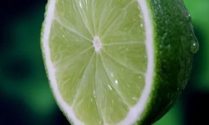 上海健康营养师报考条件