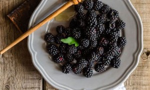 石家庄健康营养师报考条件_报名费多少钱