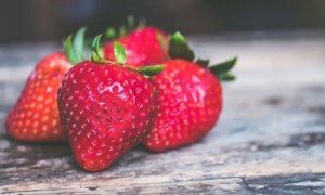 上海健康营养师在哪报考