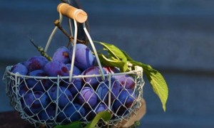 保定健康营养师报考条件_报名费多少钱