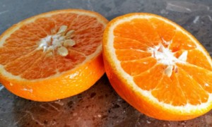 衡水健康营养师证怎么考