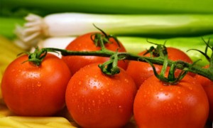 镇江健康营养师报考条件_报名费多少钱