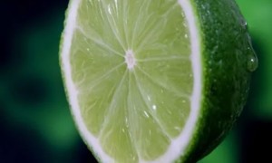 芜湖健康营养师报考条件_报名费多少钱