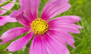 苏州学雅思费用多少