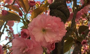 银川培训雅思哪家好