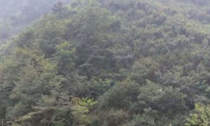 银川哪里有培训雅思的机构