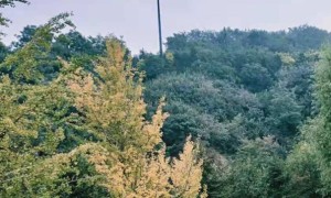 银川雅思培训班哪里好