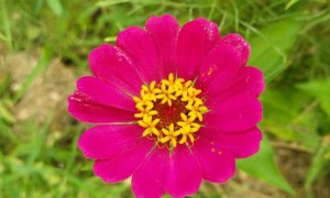 海口学雅思哪里好