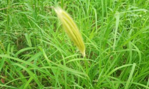 南京江宁区视觉设计培训机构_多少钱