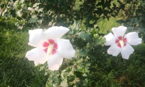 深圳宝安区视觉设计培训机构_多少钱