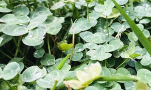 上海普陀区视觉设计培训机构_多少钱