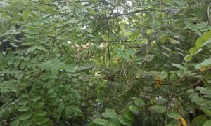 上海浦东新区视觉设计培训机构_多少钱