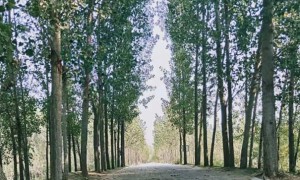 西安经济技术开发区视觉设计培训机构_多少钱