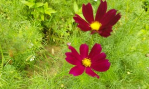 南昌视觉设计培训机构_多少钱