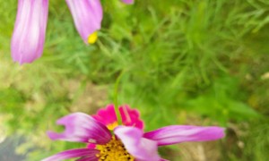 青岛视觉设计培训机构_多少钱