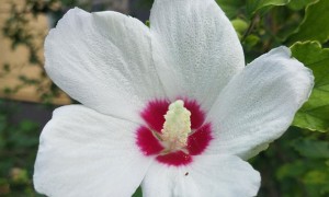 青岛市北区视觉设计培训机构_多少钱