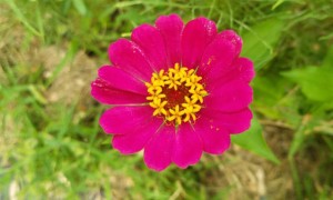 厦门视觉设计培训机构_多少钱