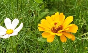 杭州视觉设计培训机构_多少钱