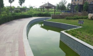 杭州西湖区视觉设计培训机构_多少钱