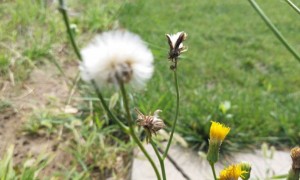 杭州江干区视觉设计培训机构_多少钱