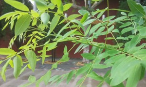 郑州视觉设计培训机构_多少钱