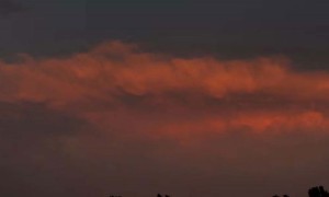 郑州金水区视觉设计培训机构_多少钱