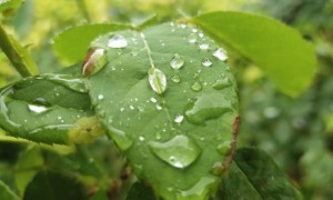 石家庄长安区视觉设计培训机构_多少钱