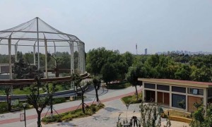 佛山视觉设计培训机构_多少钱