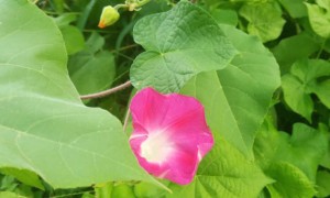 东莞南城区视觉设计培训机构_多少钱