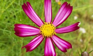 海口视觉设计培训机构_多少钱