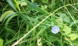 海口龙华区视觉设计培训机构_多少钱