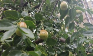 天津教师证报名_考试_报考条件