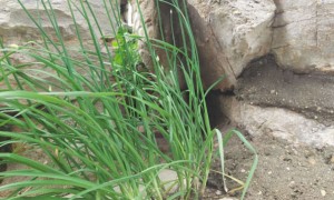 天津塘沽教师证报名_考试_报考条件