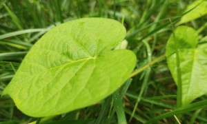 上海教师证报名_考试_报考条件