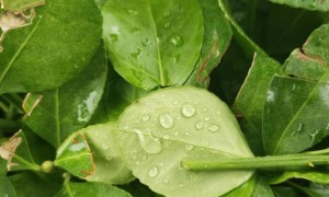 上海徐汇区教师证报名_考试_报考条件