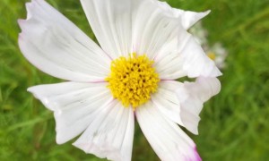 保定教师证报名_考试_报考条件