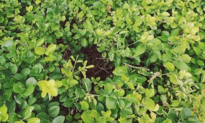 衡水教师证报名_考试_报考条件