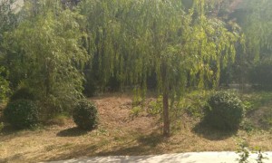 包头教师证报名_考试_报考条件