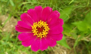 鄂尔多斯教师证报名_考试_报考条件