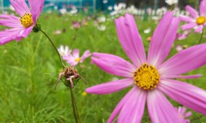 赤峰教师证报名_考试_报考条件