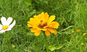 山西教师证报名_考试_报考条件