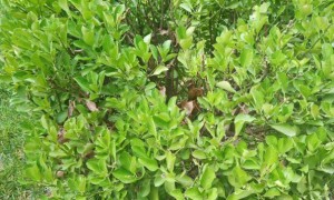 阳泉教师证报名_考试_报考条件