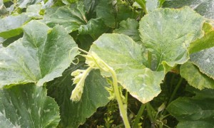 长治教师证报名_考试_报考条件