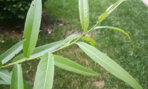 临汾教师证报名_考试_报考条件