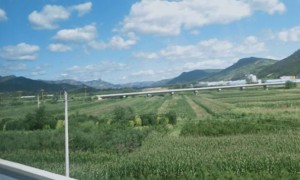 辽宁教师证报名_考试_报考条件