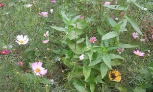 忻州教师证报名_考试_报考条件