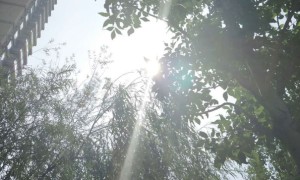 盘锦教师证报名_考试_报考条件