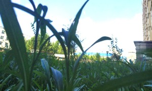 山东教师证报名_考试_报考条件