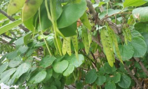 烟台教师证报名_考试_报考条件