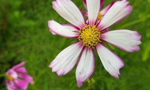 威海教师证报名_考试_报考条件